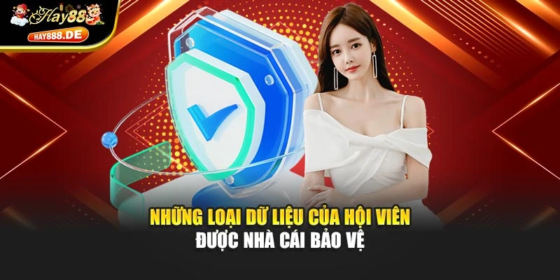 Những loại dữ liệu của hội viên được nhà cái bảo vệ